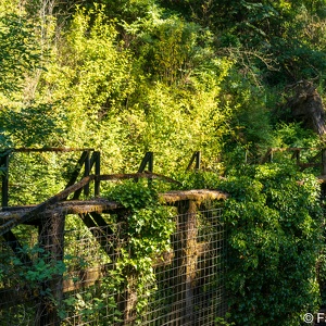 Misc. Portland Area Photos