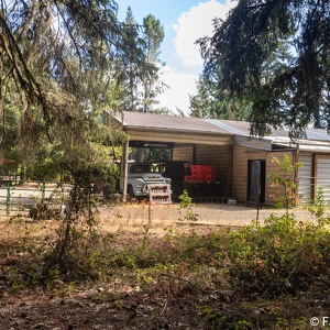 2020-08 OCF Walkabout