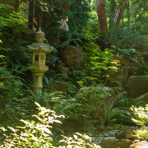 2021-08 Japanese Garden