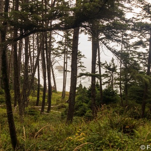 2021-08 Oregon Coast