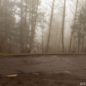 2022-02 Oregon Coast