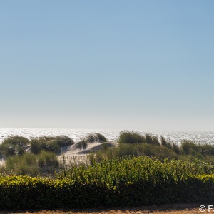 2023-07 Oregon Coast