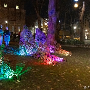 2024-02 PDX Winter Light Fest